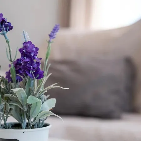 Apartment Casa Calas Torrevieja