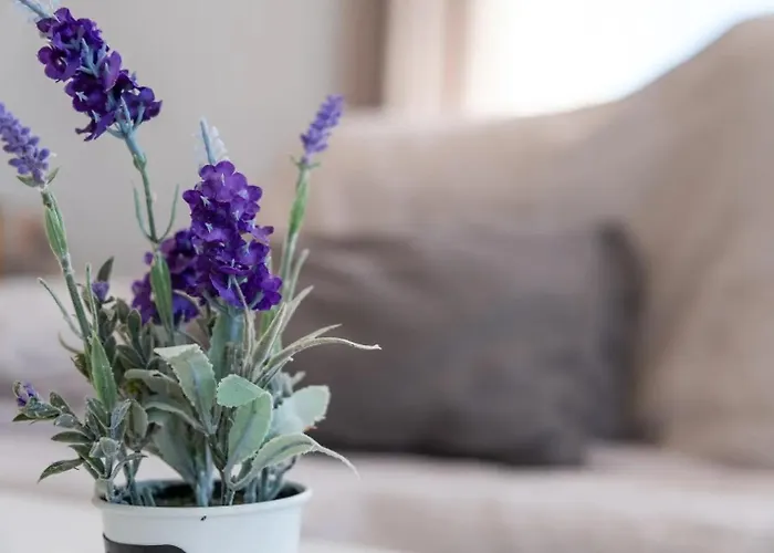 Apartment Casa Calas Torrevieja